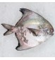 Local Chinese Pomfret 300gm+- per fish [LOW SEASON]