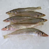 Silver Whiting / Bulus per kg (HIGHLY SEASONAL)