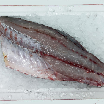 Seabass Fillet per kg
