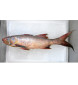 [FROZEN] Indian Threadfin / Kurau Steak (順丰) 300gm+-