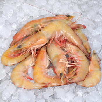 Red Big Prawn XL (红大虾) per kg