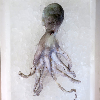 Octopus per kg [SEASONAL]