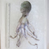 Octopus per kg [SEASONAL]