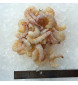 Peeled Red Big Prawn L (红大虾) 250gm+- Peeled Red Big Prawn L (红大虾) 250gm+-