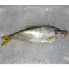 Chinese Herring / Ikan Beliak Mata per kg [SEASONAL]