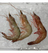 Super Big Red Prawn (特大虾) per kg