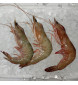 Super Big Red Prawn (特大虾) per kg