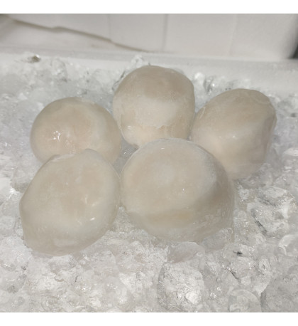 Hokkaido Sea Scallops (扇贝) 250gm+-