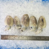 Baby Cuttlefish / Sotong Katak (目仔) per kg