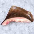 Whole Fin 
