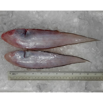 Tonguesole / Ikan Lidah (SEASONAL) per kg