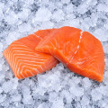 Salmon Fillet 